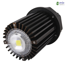 High Quality 100W COB IP65 LED High Bay Light (With CE/RoHS Certification)